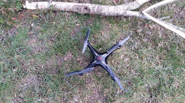 drone fallen from tree