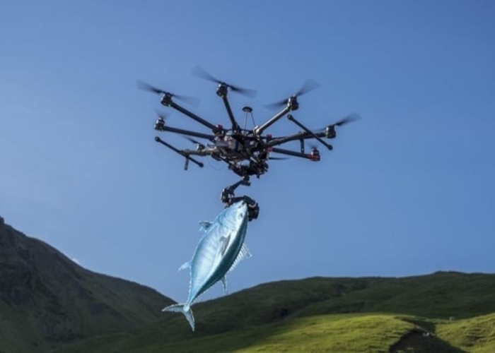 How Using Drones For Fishing Is Catching On Reel Well